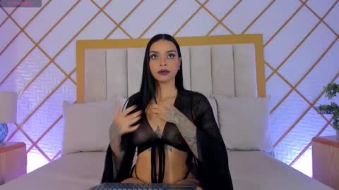    online show from February 2026 11:25:02 AM