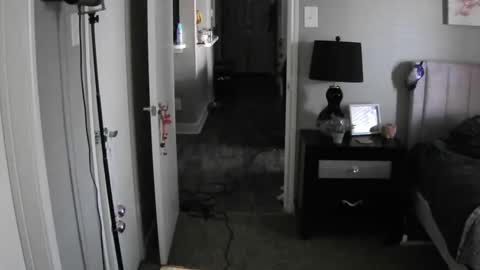 TheGoddessCodie online show from December 2024 03:05:02 PM