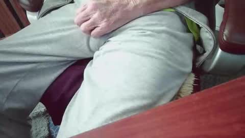 cody81421 online show from January 2026 09:18:02 PM