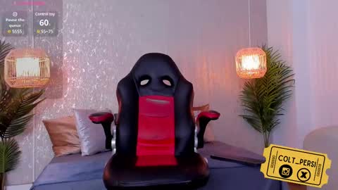 Snapshot of colt_perci chatting on February 2025 05:42:02 AM colt_perci online show from February 2025 05:42:02 AM