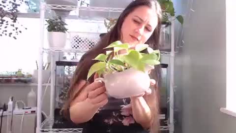 Snapshot of constantcumquest chatting on October 2025 04:27:01 PM ANR Mommy online show from October 2025 04:27:01 PM