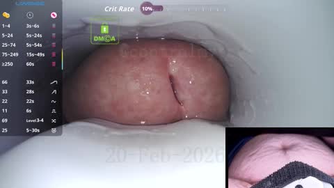 Control online show from February 2026 08:16:02 AM