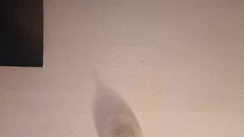 Snapshot of cooper_120805 chatting on September 2025 02:47:02 AM cooper_120805 online show from September 2025 02:47:02 AM