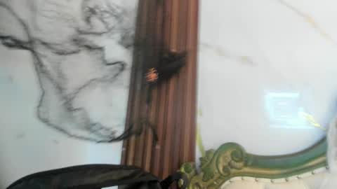 Coralie Bronson online show from October 2025 08:44:02 PM