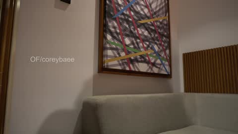 Snapshot of coreybae chatting on January 2025 03:07:02 AM coreybae online show from January 2025 03:07:02 AM