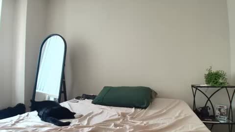 Snapshot of coriaddams chatting on July 2026 05:37:02 PM coriaddams online show from July 2026 05:37:02 PM