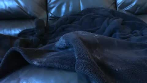 countrycock7inch online show from February 2025 07:38:02 PM