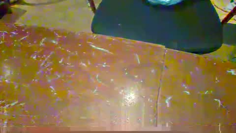 courtinludo2025 online show from January 2026 04:49:02 AM