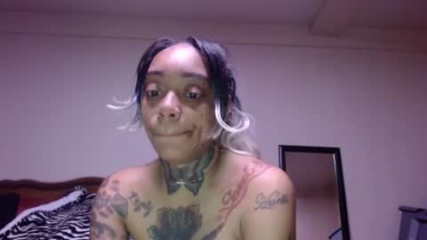 CreamyExotica online show from January 2026 11:58:01 AM