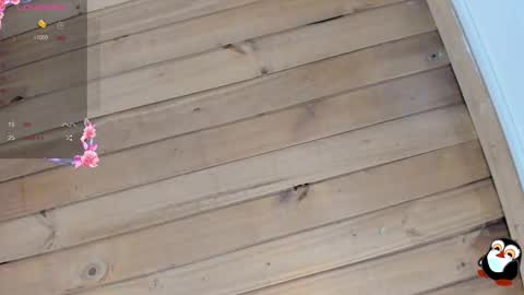 Cristal online show from January 2026 04:15:01 AM