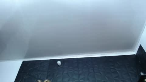 Hanna  online show from December 2024 10:12:02 AM