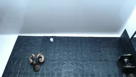 Hanna  online show from February 2025 04:54:01 AM