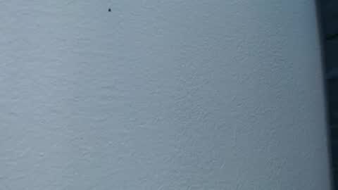 Hanna  online show from February 2025 06:02:01 AM