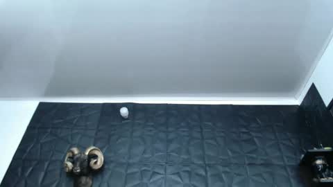 Hanna  online show from February 2025 05:56:02 AM