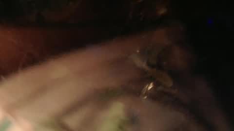 cryan96 online show from February 2025 06:31:02 PM