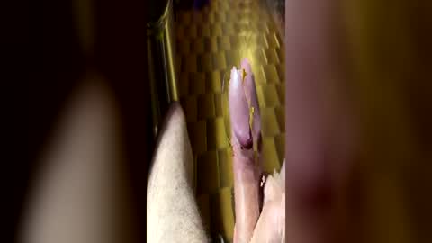 curicat69 online show from June 2026 08:28:01 AM