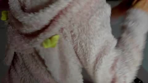 Snapshot of curlyanto chatting on November 2025 11:14:01 PM Antonia online show from November 2025 11:14:01 PM