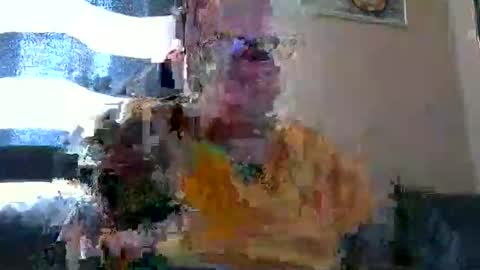 curtus14 online show from October 2025 06:41:02 AM