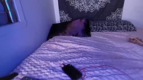 Cline  online show from March 2025 07:21:02 AM