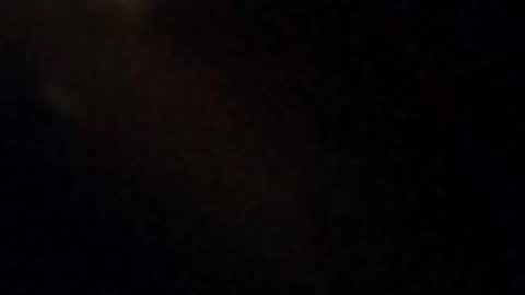 Lucifina ganja kittens online show from September 2025 06:39:02 AM