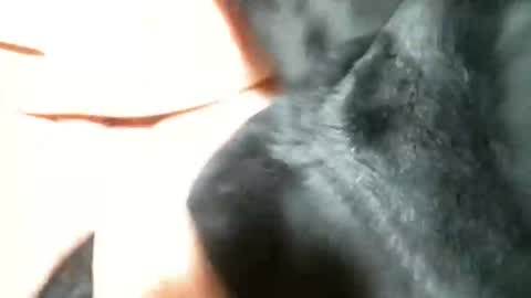 BI SMOOTH MATURE  SUB online show from March 2025 11:27:01 PM