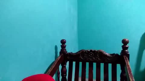 Sky online show from January 2025 09:09:02 PM