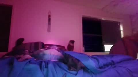 mary mack online show from November 2025 12:49:01 PM