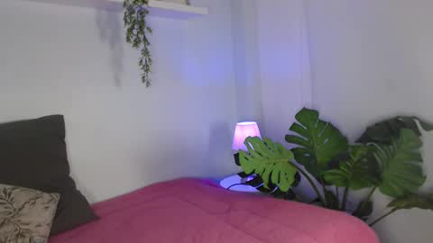 Laura online show from February 2026 11:36:02 AM