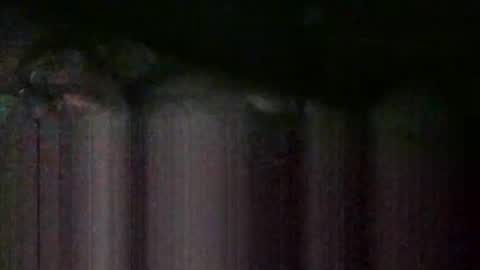 cwill27837 online show from February 2026 02:34:02 AM