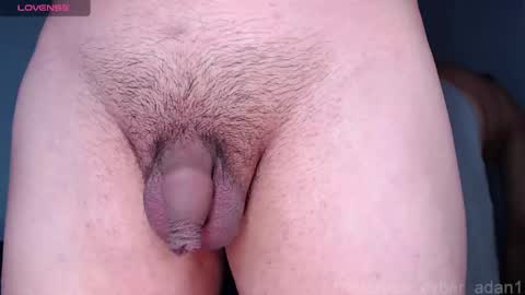 cyber online show from January 2025 01:58:01 PM