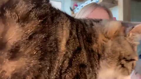Snapshot of cyberl0ve_ chatting on May 2026 01:59:01 PM Im Emi streaming with my friend Reyna today online show from May 2026 01:59:01 PM