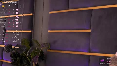 Ivy online show from February 2025 04:01:01 AM