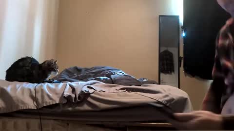 da_man411212 online show from February 2026 10:06:01 PM