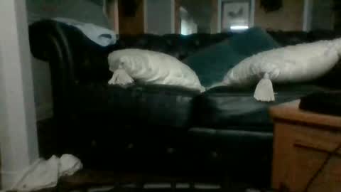 Snapshot of dadddyslilslxtxx chatting on September 2025 03:08:01 AM cumslutangel online show from September 2025 03:08:01 AM