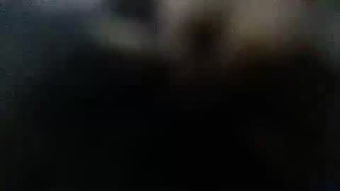 DDick online show from October 2025 01:59:01 AM