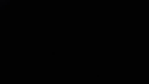 DDick online show from November 2025 09:12:02 AM