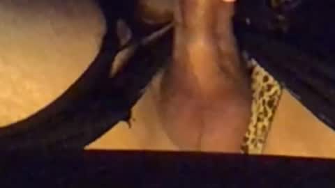 daddypervbuttprincess online show from September 2025 02:50:02 PM