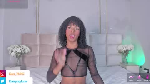 Daisy online show from February 2026 12:46:01 PM