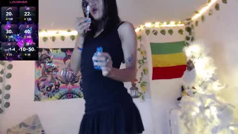 Dakko online show from December 2025 12:18:01 AM