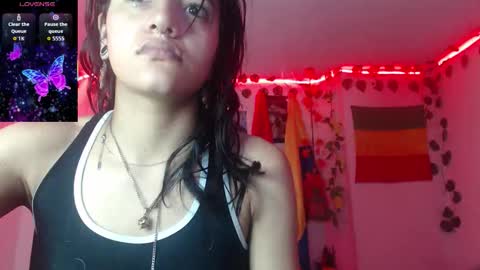 Dakko online show from January 2026 07:13:01 AM