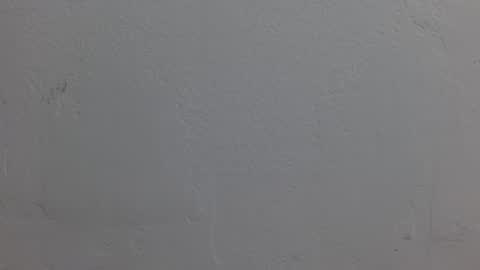 Dakota Johnson online show from November 2025 06:40:02 PM