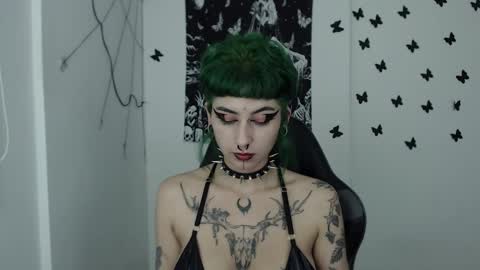 dakota online show from December 2024 05:48:01 AM