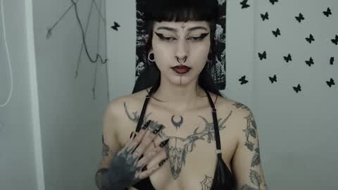 dakota online show from February 2025 06:23:01 AM