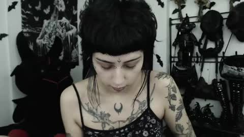 Snapshot of dakota_krall_ chatting on May 2026 03:47:01 AM dakota online show from May 2026 03:47:01 AM