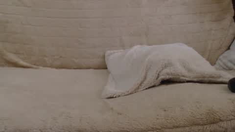 Daniella online show from January 2025 11:00:02 AM