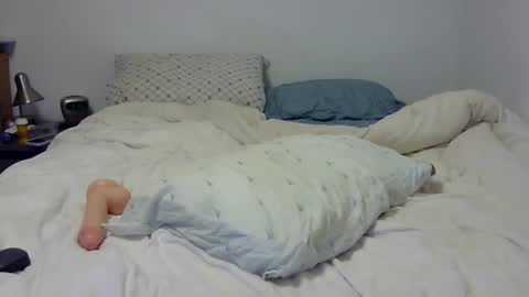 Andy online show from February 2025 02:19:01 AM