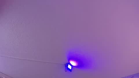 Daniela online show from March 2025 10:51:01 AM