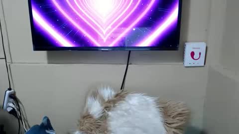 Danica online show from December 2025 03:44:02 AM