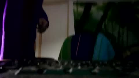 danimal5000 online show from January 2025 03:58:01 PM