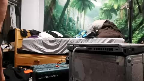 danimal5000 online show from September 2025 03:19:02 AM